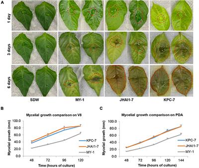 Frontiers | Comparative Genomic Analysis Reveals Genetic Variation And ...